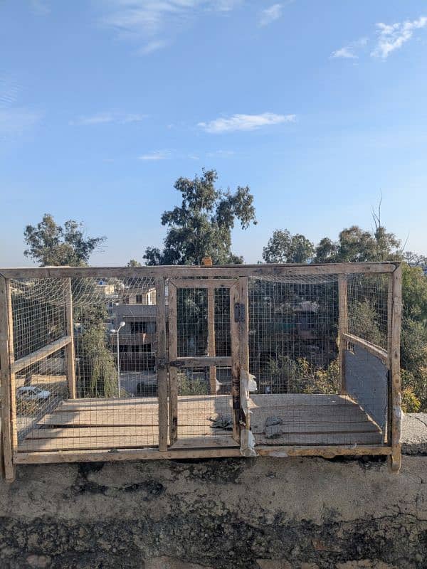 Two Aseel Cages For Sale 3