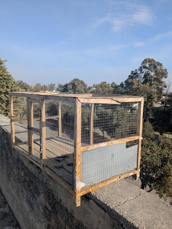 Two Aseel Cages For Sale 6