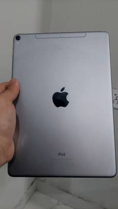 iPad Pro 256 GB Cellular