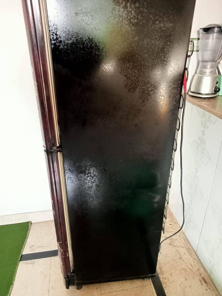 Refrigerator hire 3