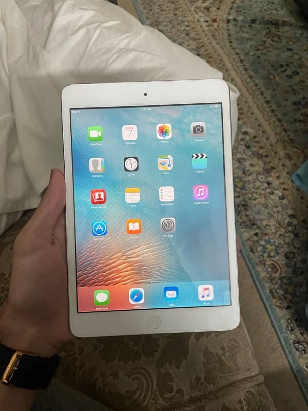 ipad mini 2 0