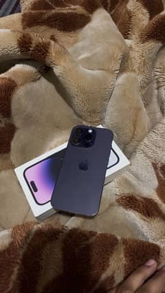 iPhone 14 Pro purple clr