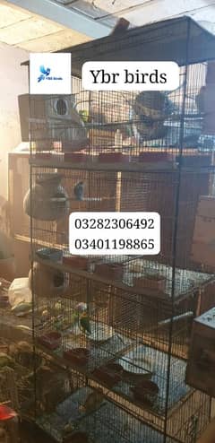 cage for sell birds used birds cage for sell