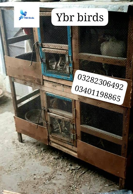 cage for sell birds used birds cage for sell 1