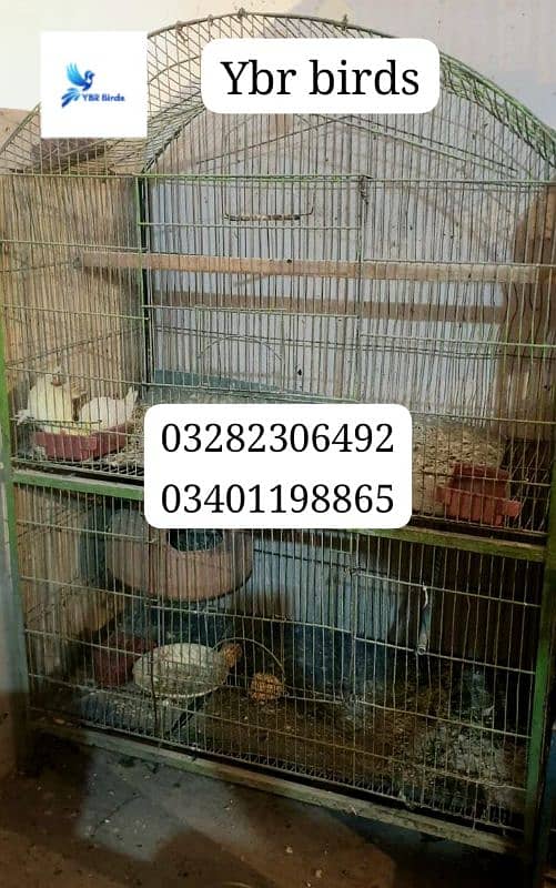 cage for sell birds used birds cage for sell 2