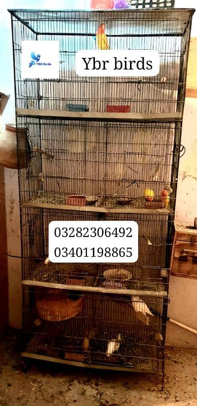 cage for sell birds used birds cage for sell 3