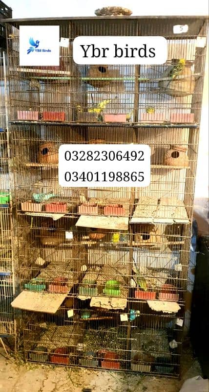 cage for sell birds used birds cage for sell 4