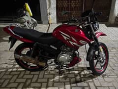 YAMAHA YBR 125G||JAPAN VARIENT|| no:0/3/1/9/6/4/0/8/0/0/4