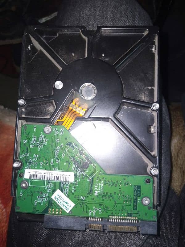 Hard Drive 1 tb 1