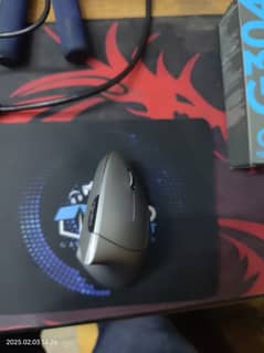 Ergonomic Mouse