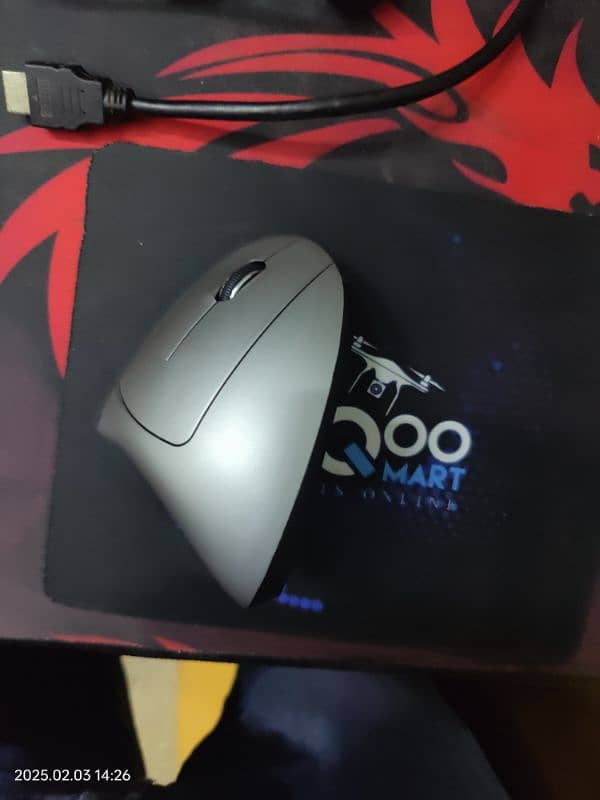 Ergonomic Mouse 1