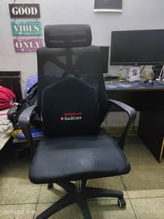 Ergonomic Computer Chair