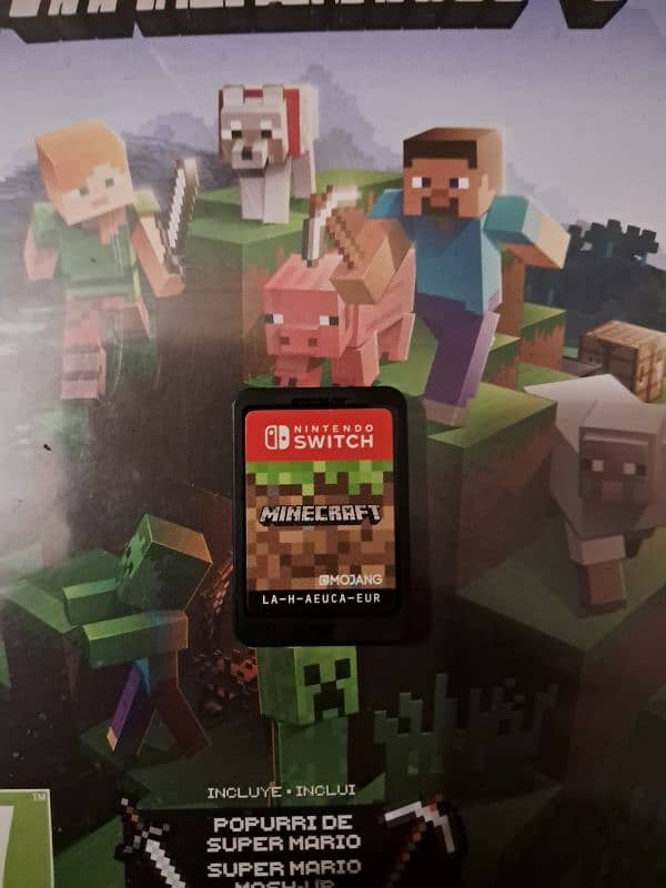 Minecraft nintendo switch game 2