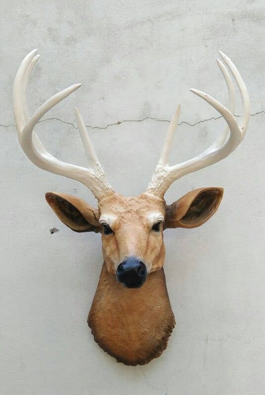 DEER Jumbo Customized Available in All colour 0