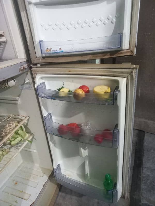 PEL fridge Medium sizw 1