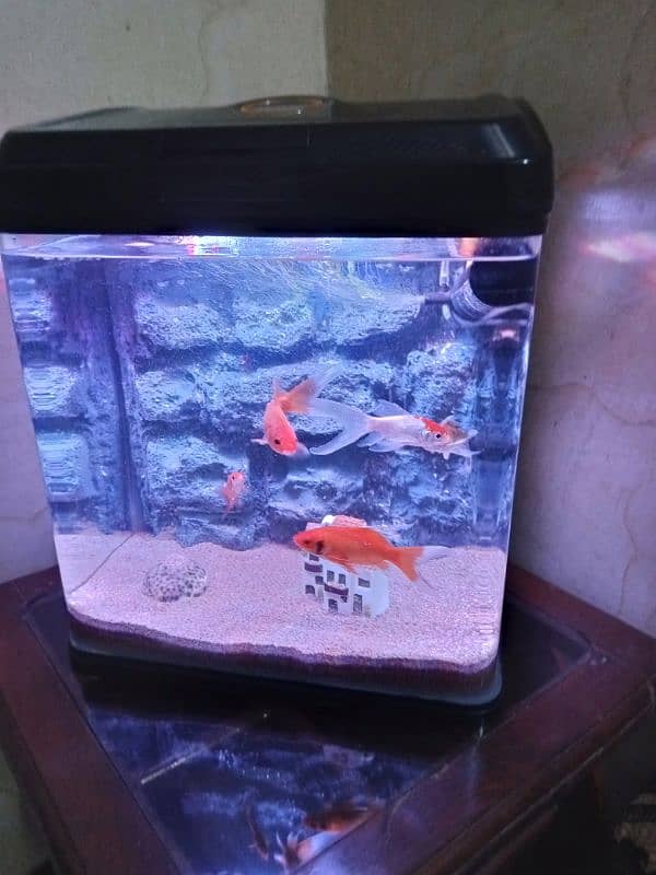 imported aquarium 2by2feet size 03078126036 6