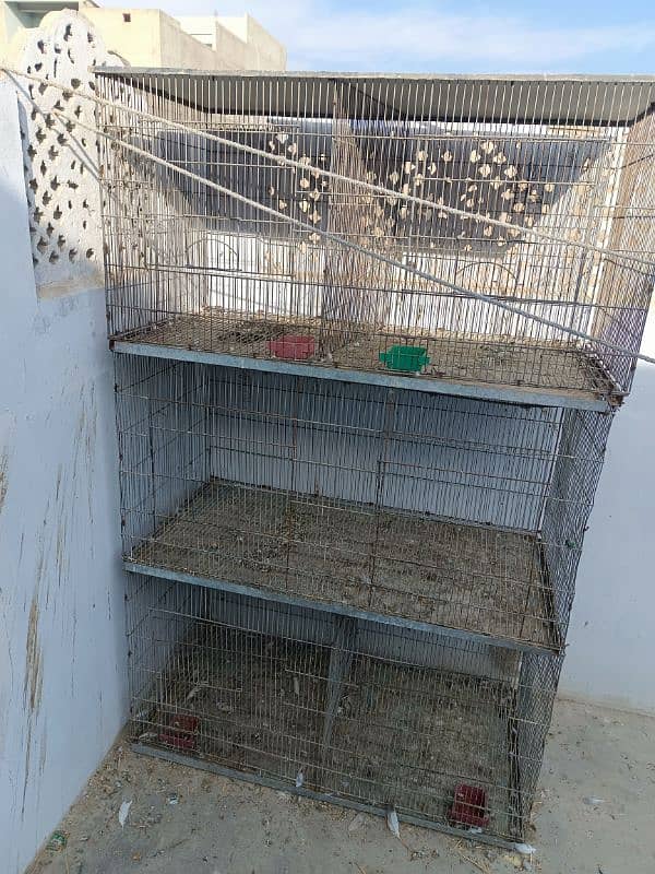 birds cage 3