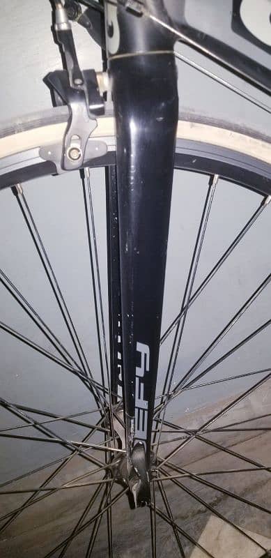 Giant Defy SR2 (Carbon Fork) – 56 Inch – Fully Loaded 5