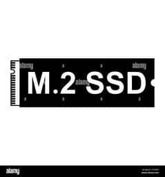 M2 CARD 256 GB BRANDE