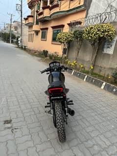 Ybr 125 2019