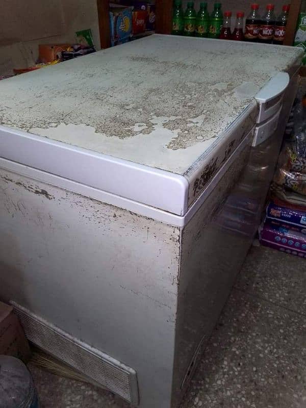 Deep Freezer (9 Cu. ft. ) 1