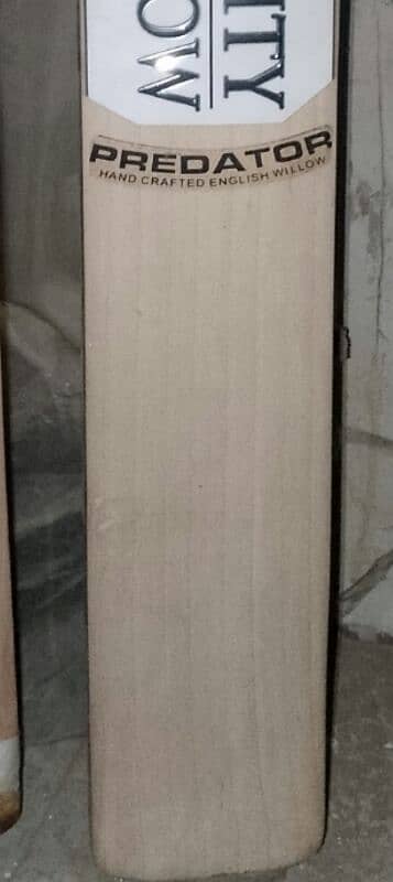 Hard ball bat English willow (Mighty willow) 1