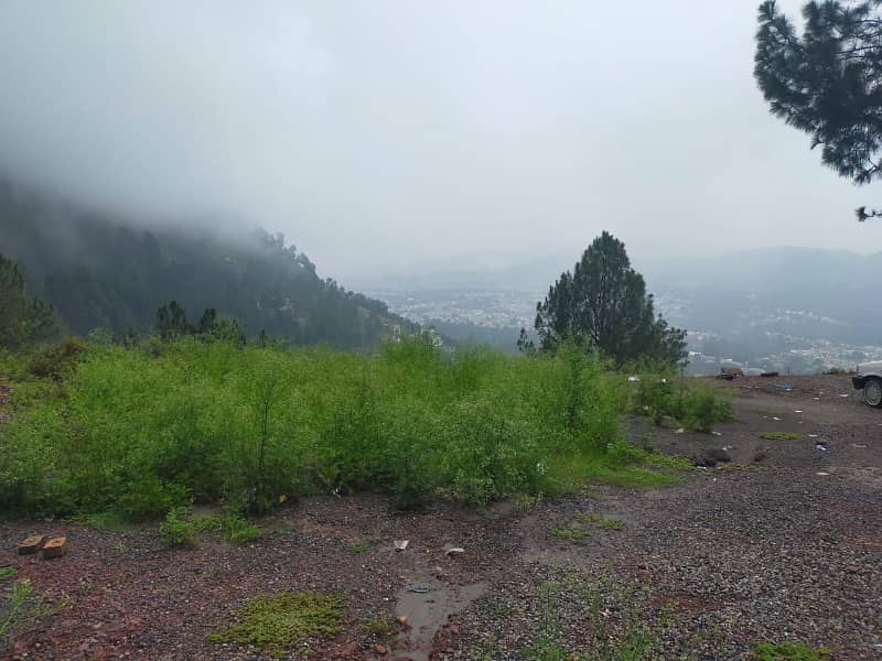 1 Kanal Plot Available For Sale at Khatwal Thandiani Abbottabad 0