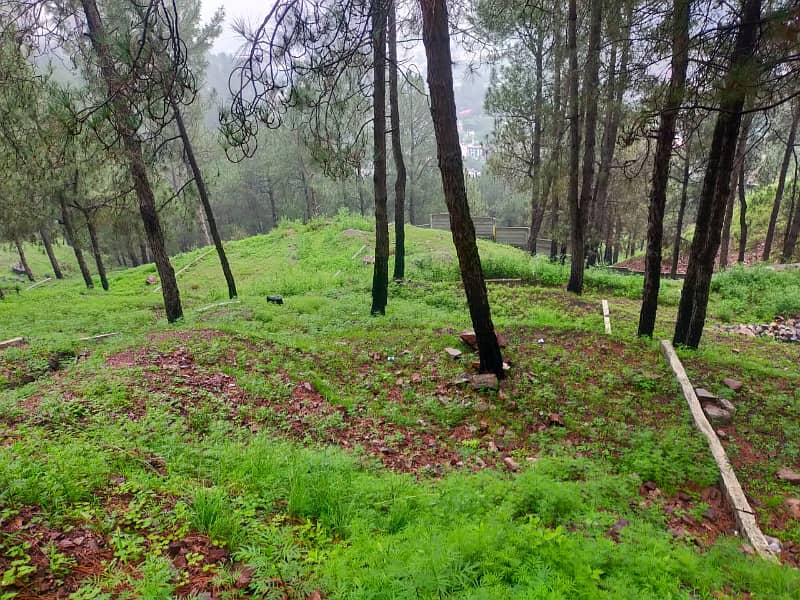 1 Kanal Plot Available For Sale at Khatwal Thandiani Abbottabad 0