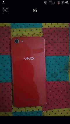 vivo