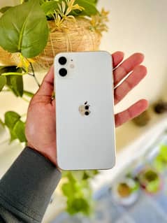 Iphone 11 - 64GB - White - JV