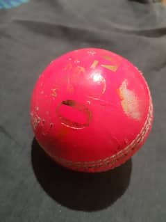 Test Cricket leather ball