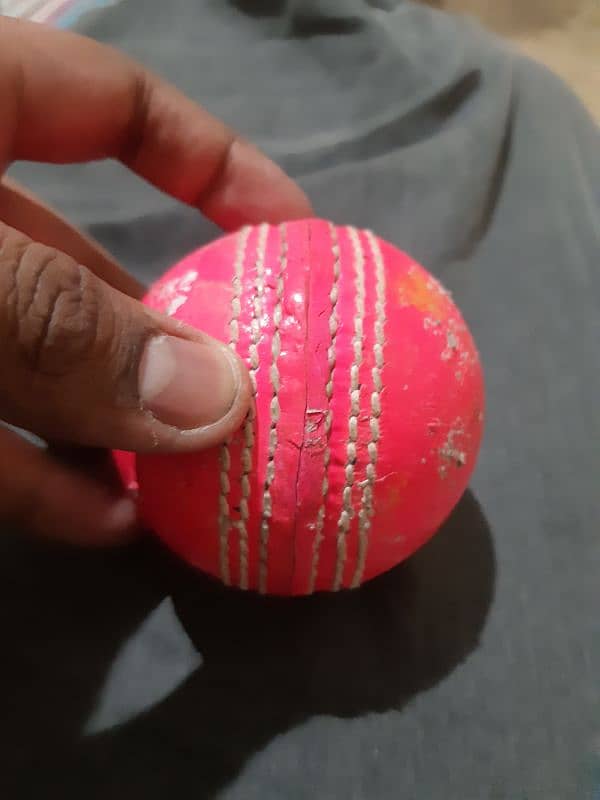 Test Cricket leather ball 1