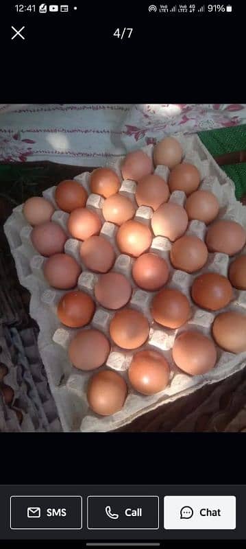 "Organic Lohman brown eggs - Desi eggs - organic brown Eggs 0