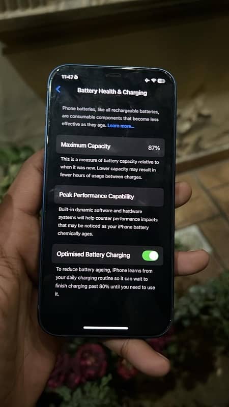 iPhone 12jv 87% battery health 10/10 1