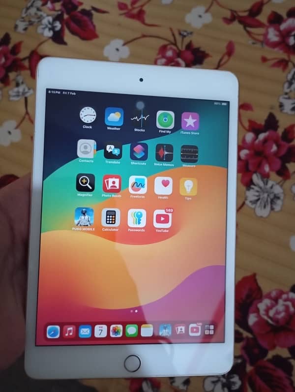 iPad mini 5 1