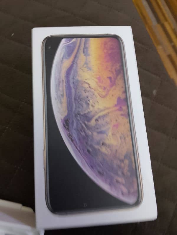 iphone xs max 10.10 condition 256gb 7