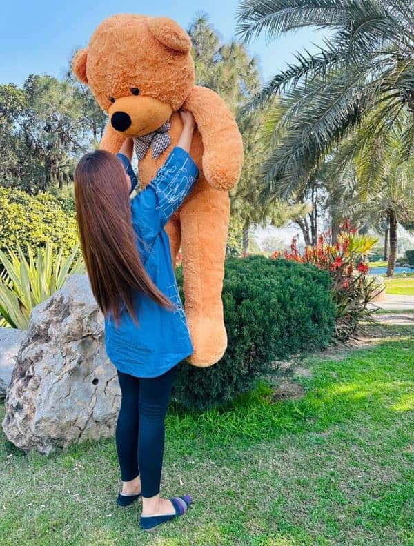 5.5 Feet Imported Design Teddy Bear 1