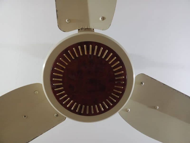 Star Asia Fan 56" Copper 0