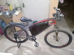 original evergold electric bicycle