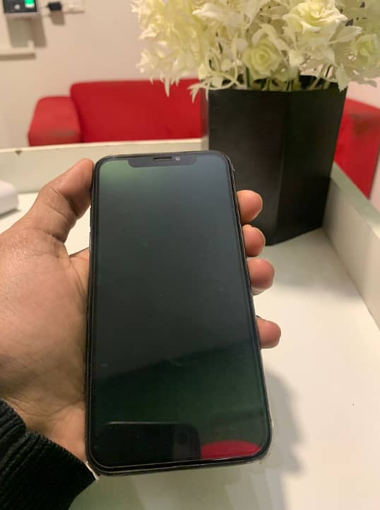 Panel & Batery Changed      PTA aproved     IphoneX   256GB 2