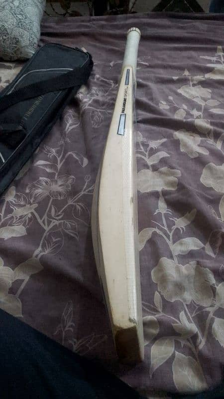 hardball bat 1