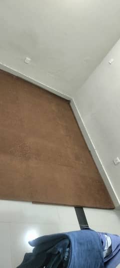 Carpet for room (12x13 feet)