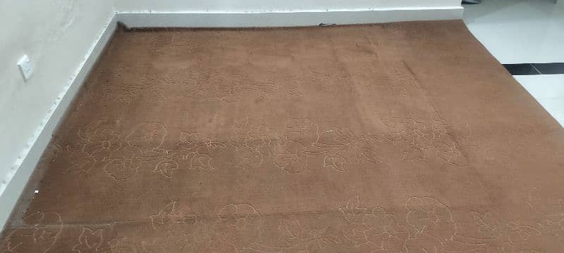 Carpet for room (12x13 feet) 1