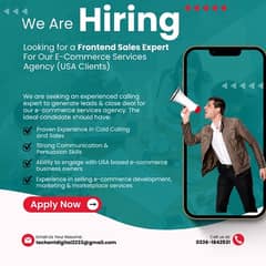 Frontend Sales Expert