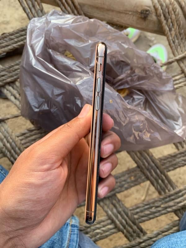 I phone XS Golden Colour 4