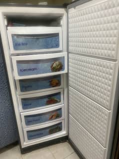 vertical freezer