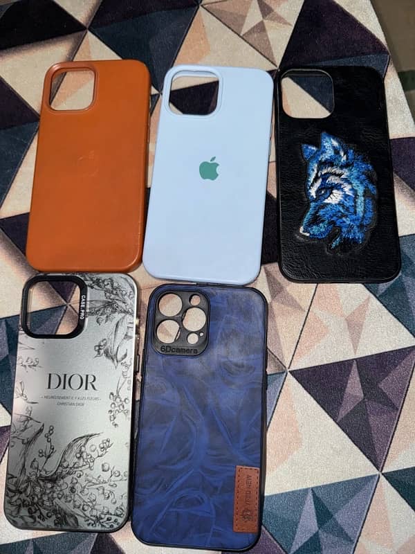 IPhone 13 Pro Max Cases 2