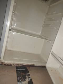 hoover single door fridge