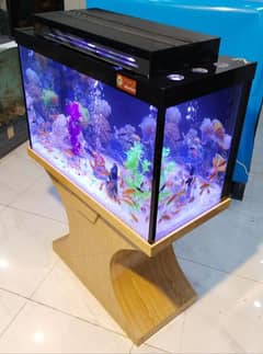 wood pro aquarium