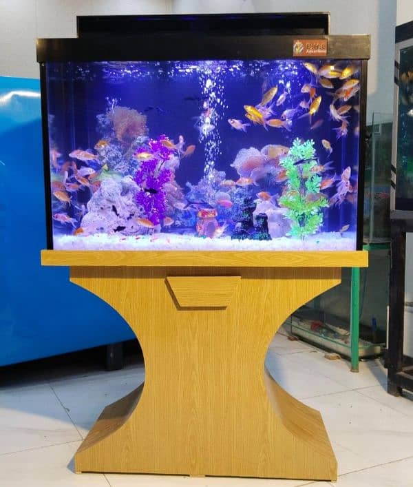 wood pro aquarium 1